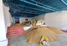 छत्तीसगढ़ में अवैध तरीके से लाये गए 19,320 क्विंटल धान जब्त